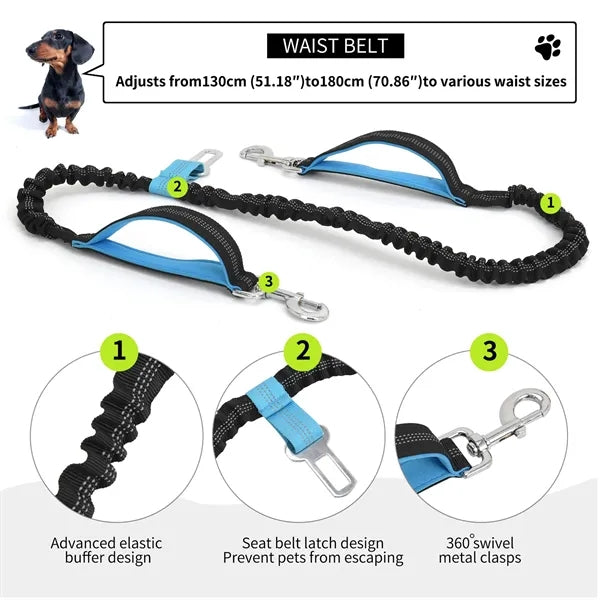 Dog Walking Fanny Pack