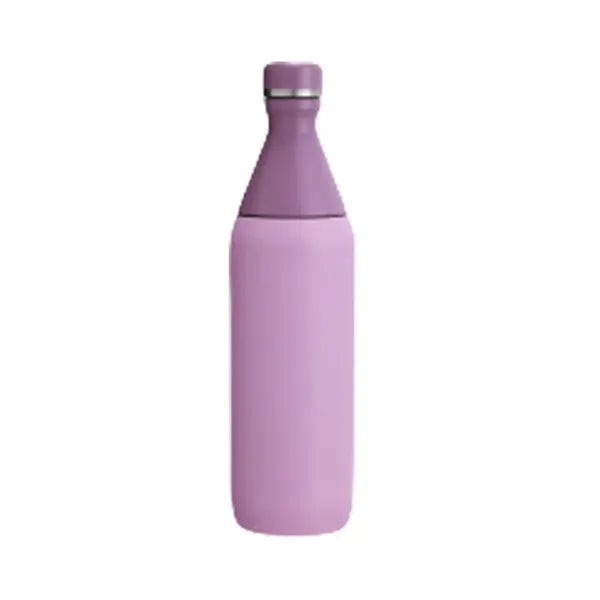 20oz Stainless Steel Bottle