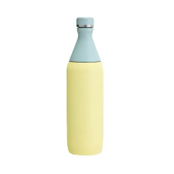 20oz Stainless Steel Bottle
