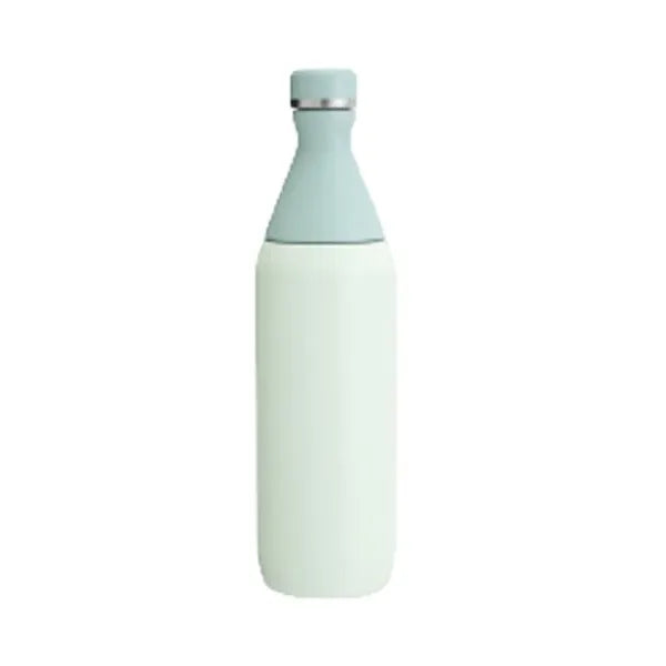20oz Stainless Steel Bottle