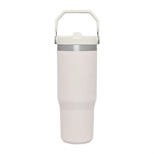 30oz Stainless Steel Insulated Mug with Straw & Handle