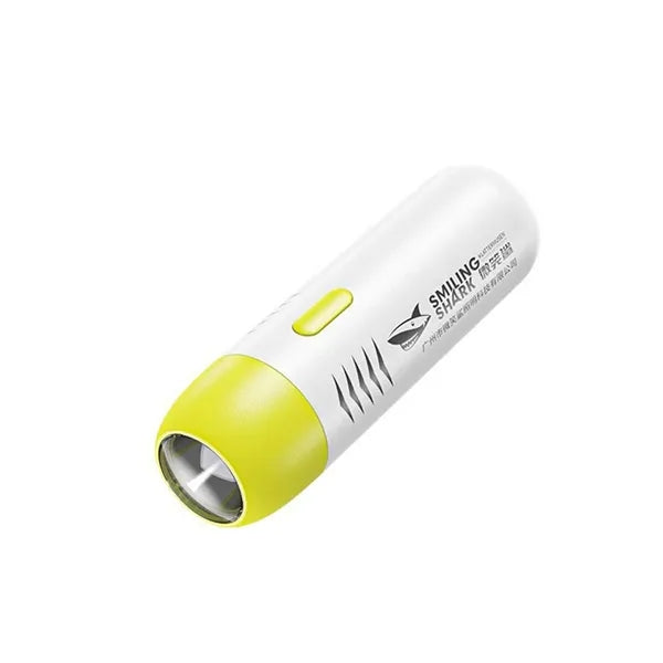 LED Flashlights