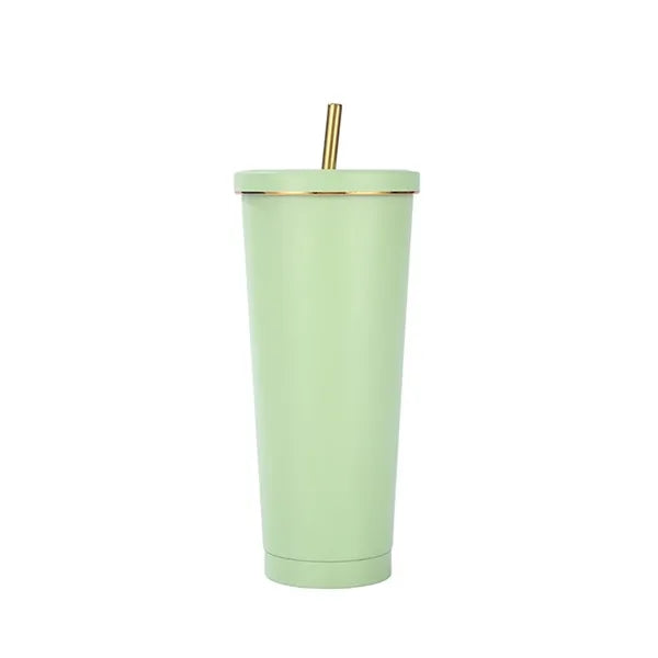 Stainless Steel Vacuum Insulated Tumbler With Straw Lid