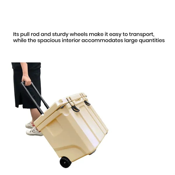 37QT Insulated PE Luggage Cooler
