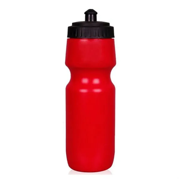 24 oz Bottle with Push-Pull Lid