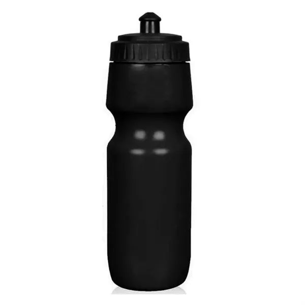 24 oz Bottle with Push-Pull Lid