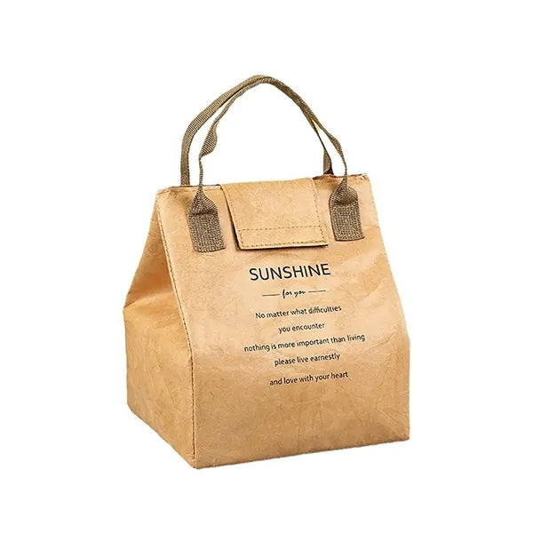 Waterproof Insulated Dupont Paper Lunch Bag for Office