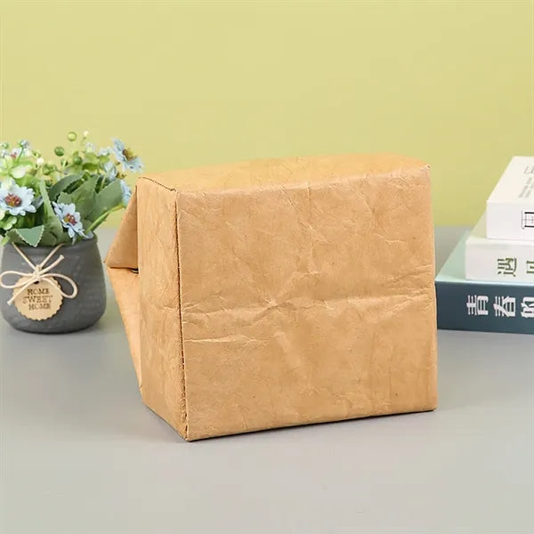 Waterproof Insulated Dupont Paper Lunch Bag for Office