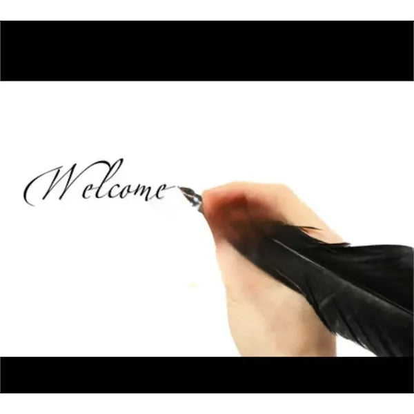 Retro Feather Quill Ball Pen