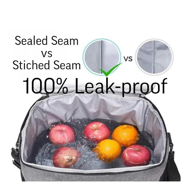 25L Leakproof Insulated cooler lunchbox backpack