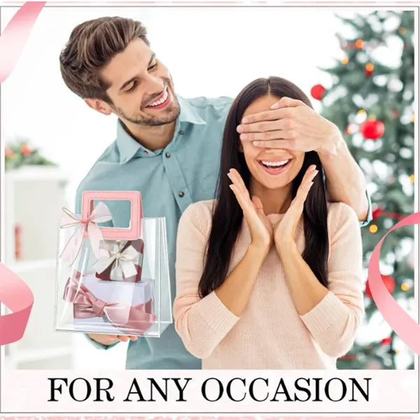 Clear Gift Bag with Handle and Sheer Ribbon