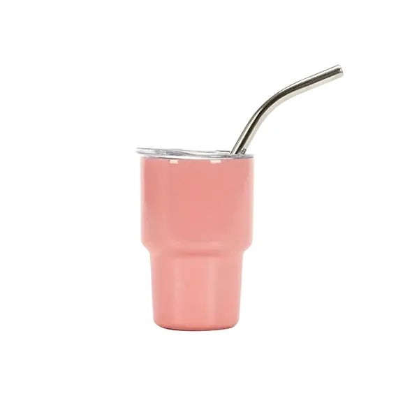 Stainless Steel Insulated Cup Mini w/Straw