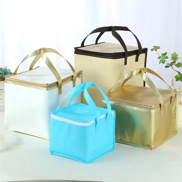 6 Pack Cooler Bag