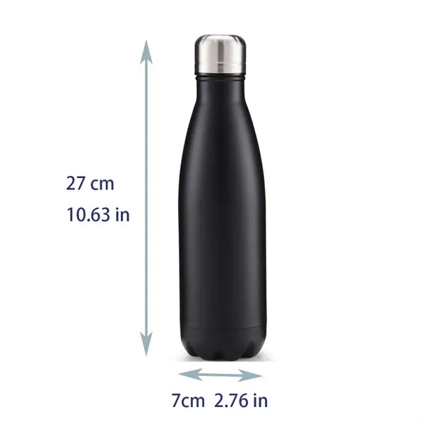 Insulated Stainless Steel Water Bottle