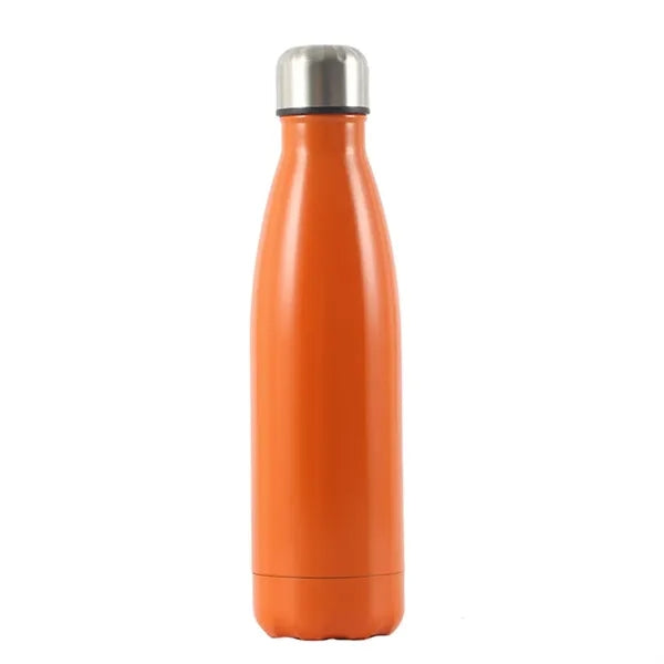 Insulated Stainless Steel Water Bottle