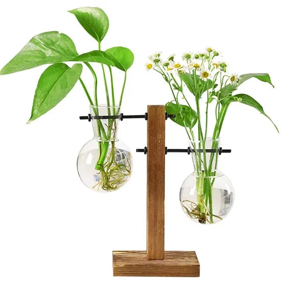 Desktop Glass Hydroponics Plant Bulb Vase