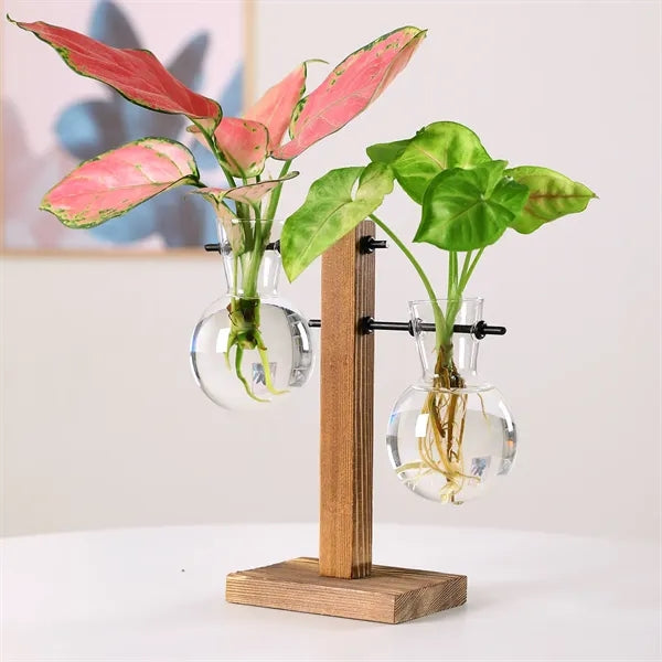 Desktop Glass Hydroponics Plant Bulb Vase