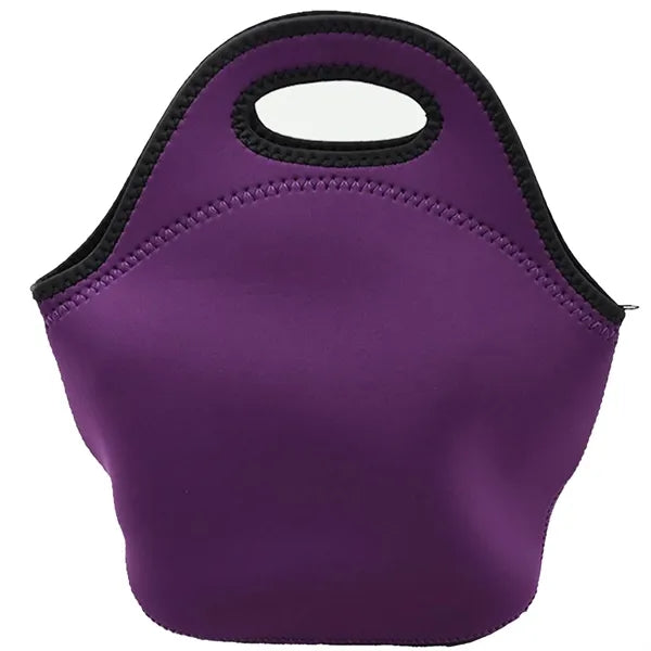 Insulated Cooler Lunch Tote Bag