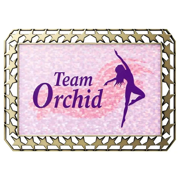 Express Star Border Rectangle Insert Medal