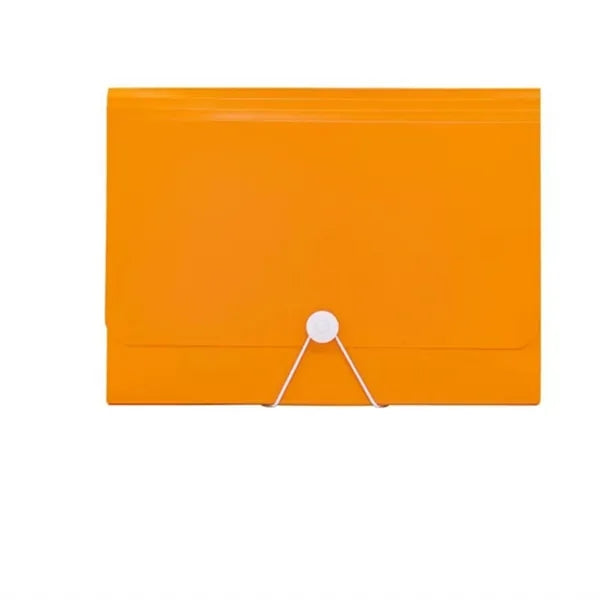 Accordian Organizer File Folder