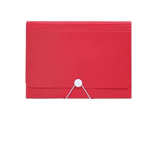 Accordian Organizer File Folder