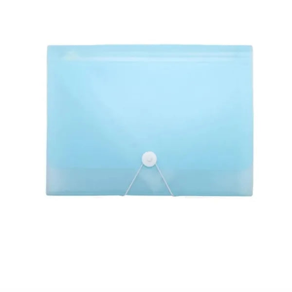 Accordian Organizer File Folder