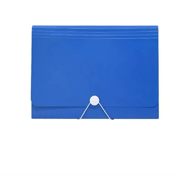 Accordian Organizer File Folder