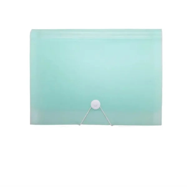 Accordian Organizer File Folder