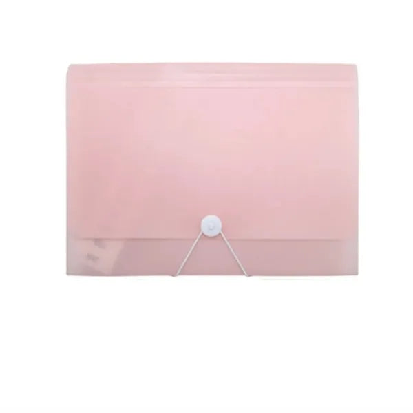 Accordian Organizer File Folder