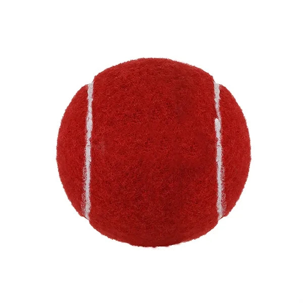 Pet Tennis Ball