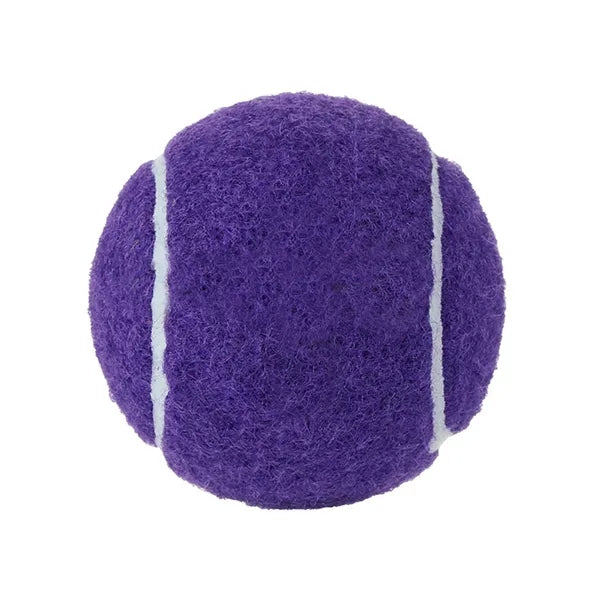 Pet Tennis Ball