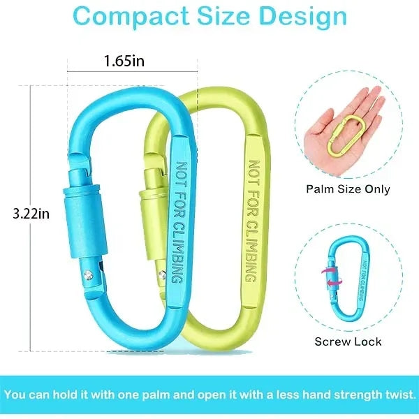 D-Shape Carabiner Keychain With Screw Lock