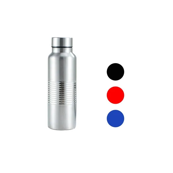 20 Oz Stainless Steel Water Bottle