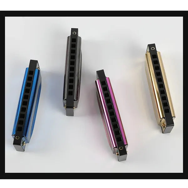 Laser Engraved 10 Hole C Key Blues Harmonica for Beginners