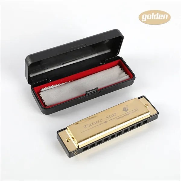Laser Engraved 10 Hole C Key Blues Harmonica for Beginners