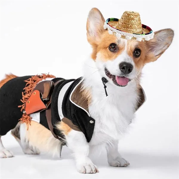 Mexican Mini Sombrero