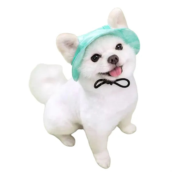 Pet Sun Hat