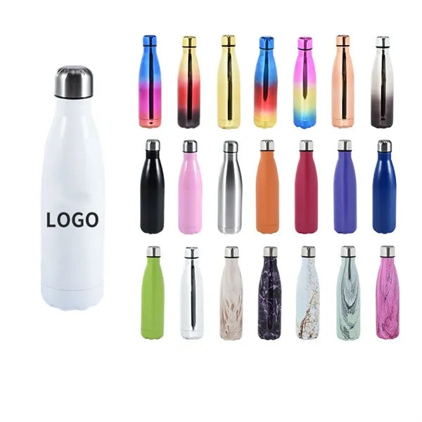 Stainless Steel Water Bottle 17OZ