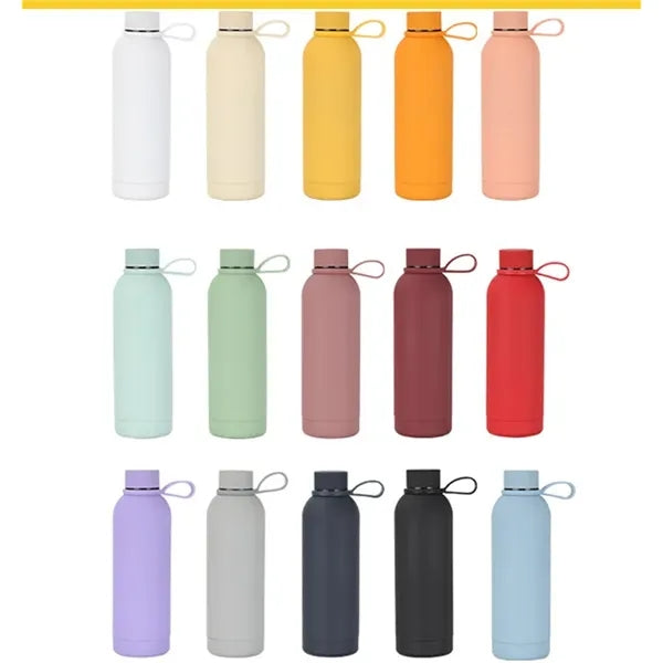 500ml Rubber Painting Insulated Water Bottle