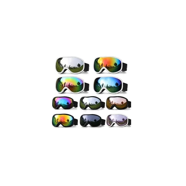 FrostGuard Ski Goggles