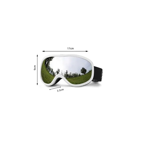FrostGuard Ski Goggles