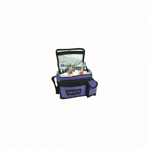 Foldaway 12 Pack Cooler