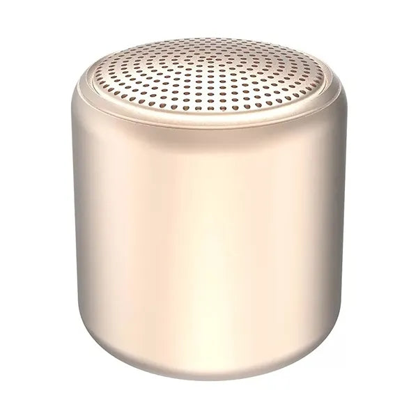 Compact Size True Wireless Stereo Speaker