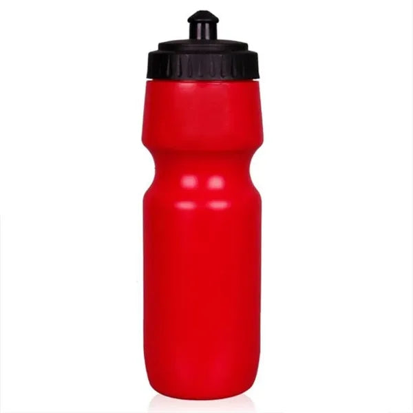 20 oz. Water Bottle with Push Cap