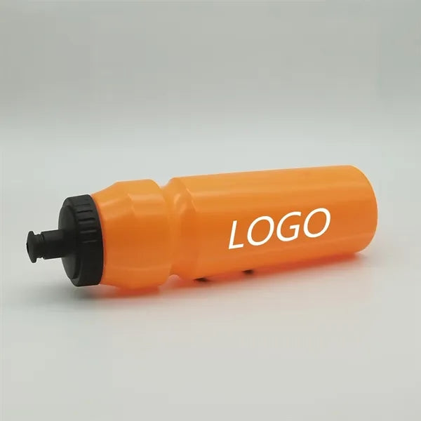20 oz. Water Bottle with Push Cap