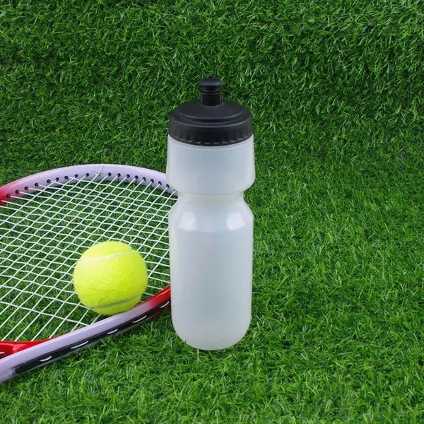 20 oz. Water Bottle with Push Cap