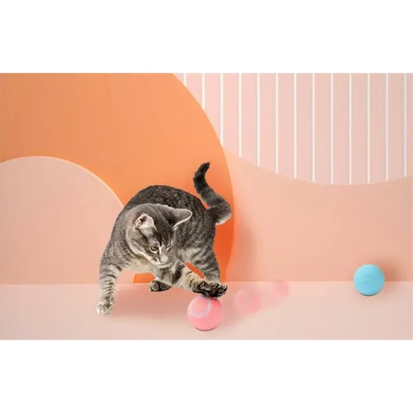 Interactive Cat Ball Toy