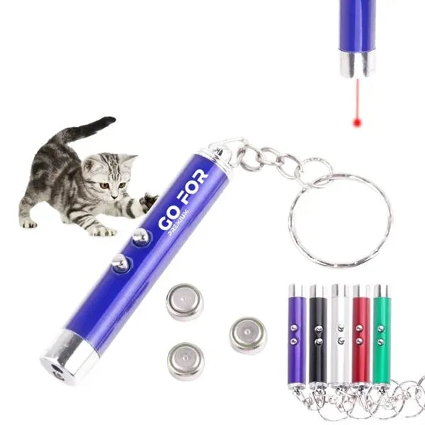 Laser Pointer