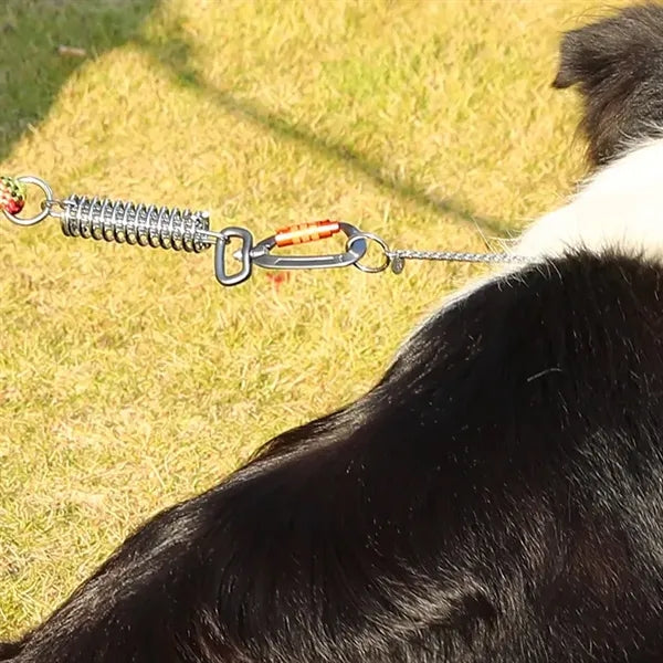 Locking Carabiner Clip with Swivel Ring