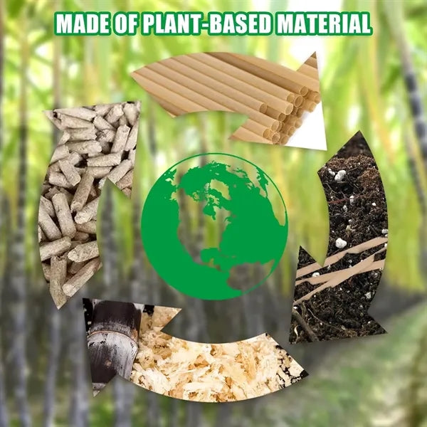 Economical and practical bamboo straw